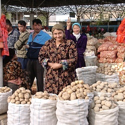 Продавцы картошки