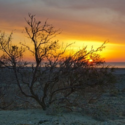 Аральское море - восход солнца